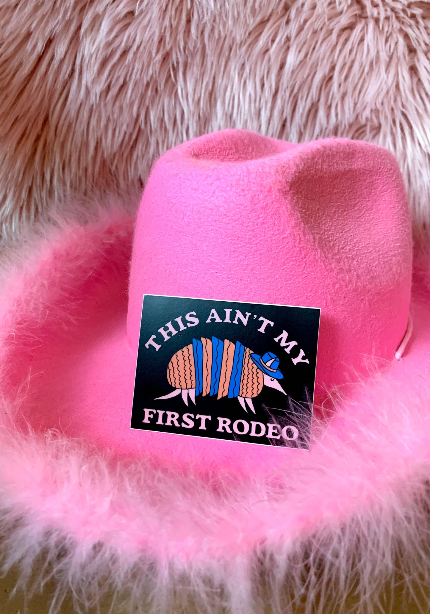 Armadillo Rodeo Sticker