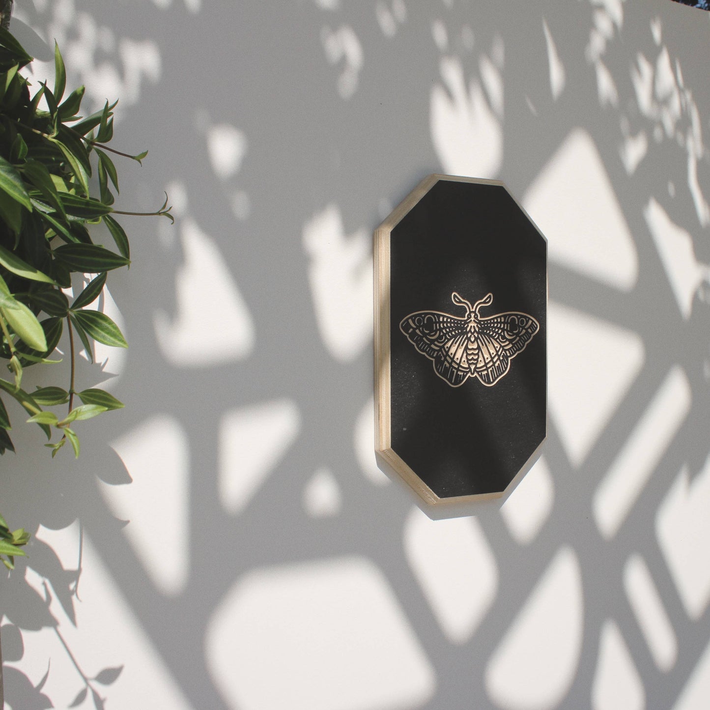 Carved Tiger Moth Wall Hanging