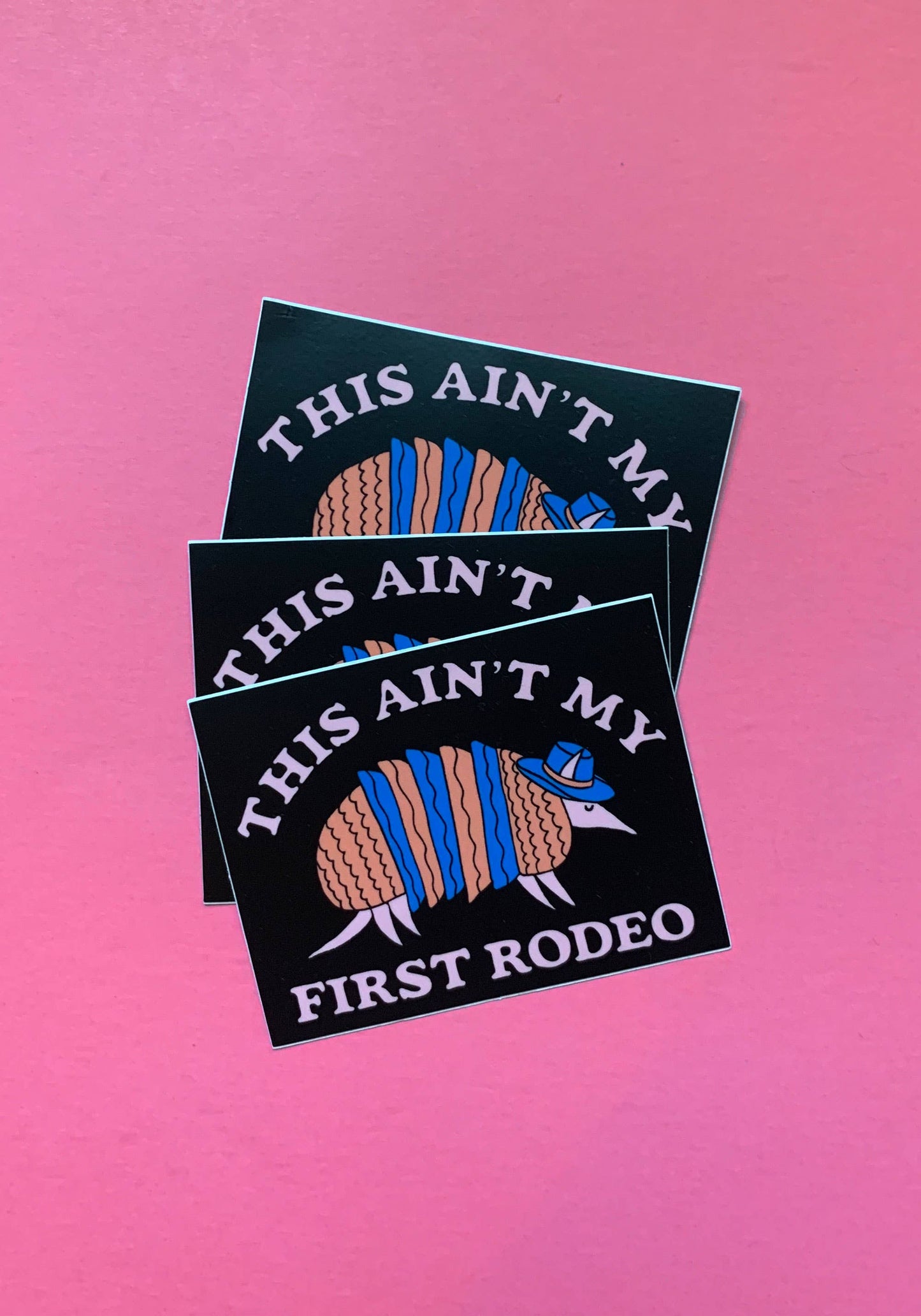 Armadillo Rodeo Sticker