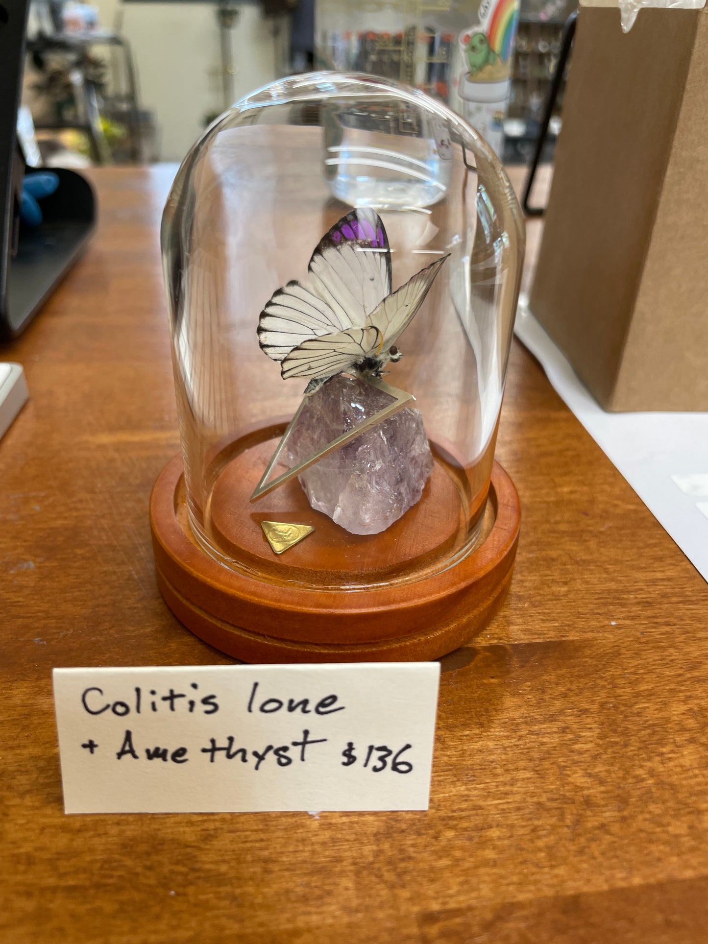 Colitis Lone + Amethyst - Decayed Brocade