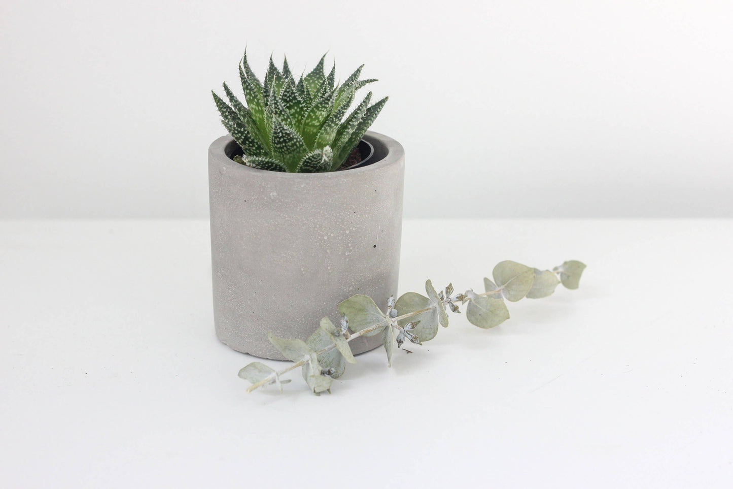 Concrete Cement Cylinder Planter Pot