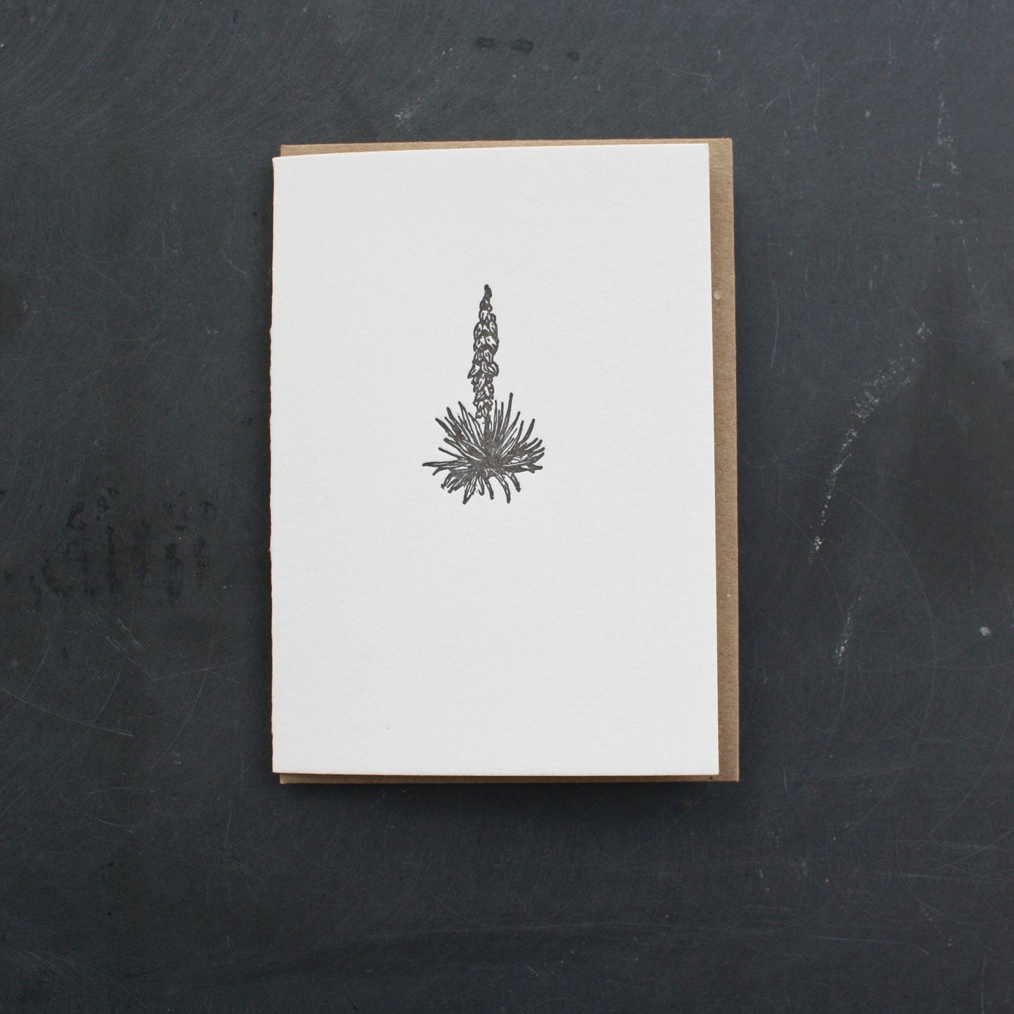 Yucca Card