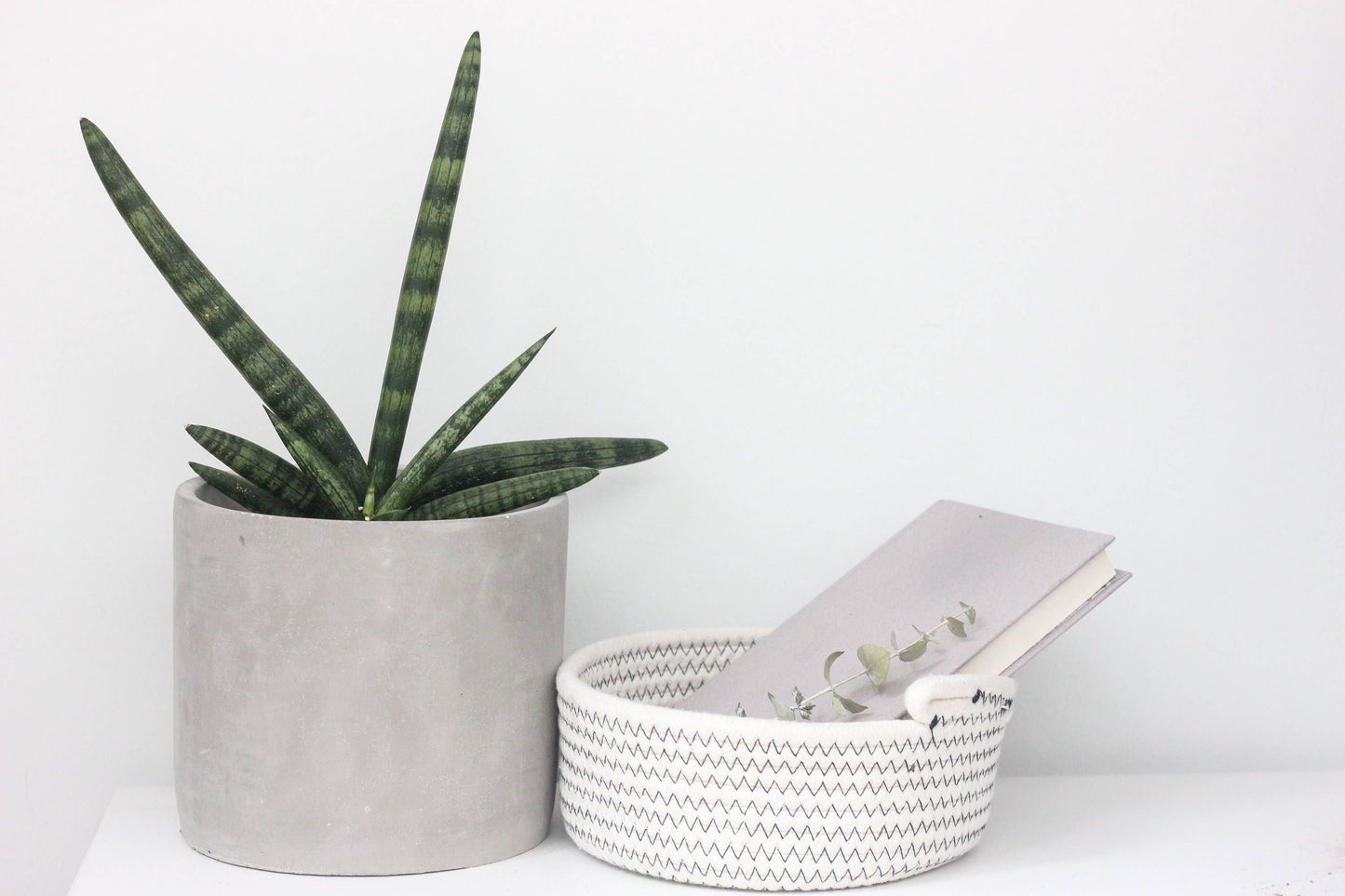Concrete Cement Cylinder Planter Pot