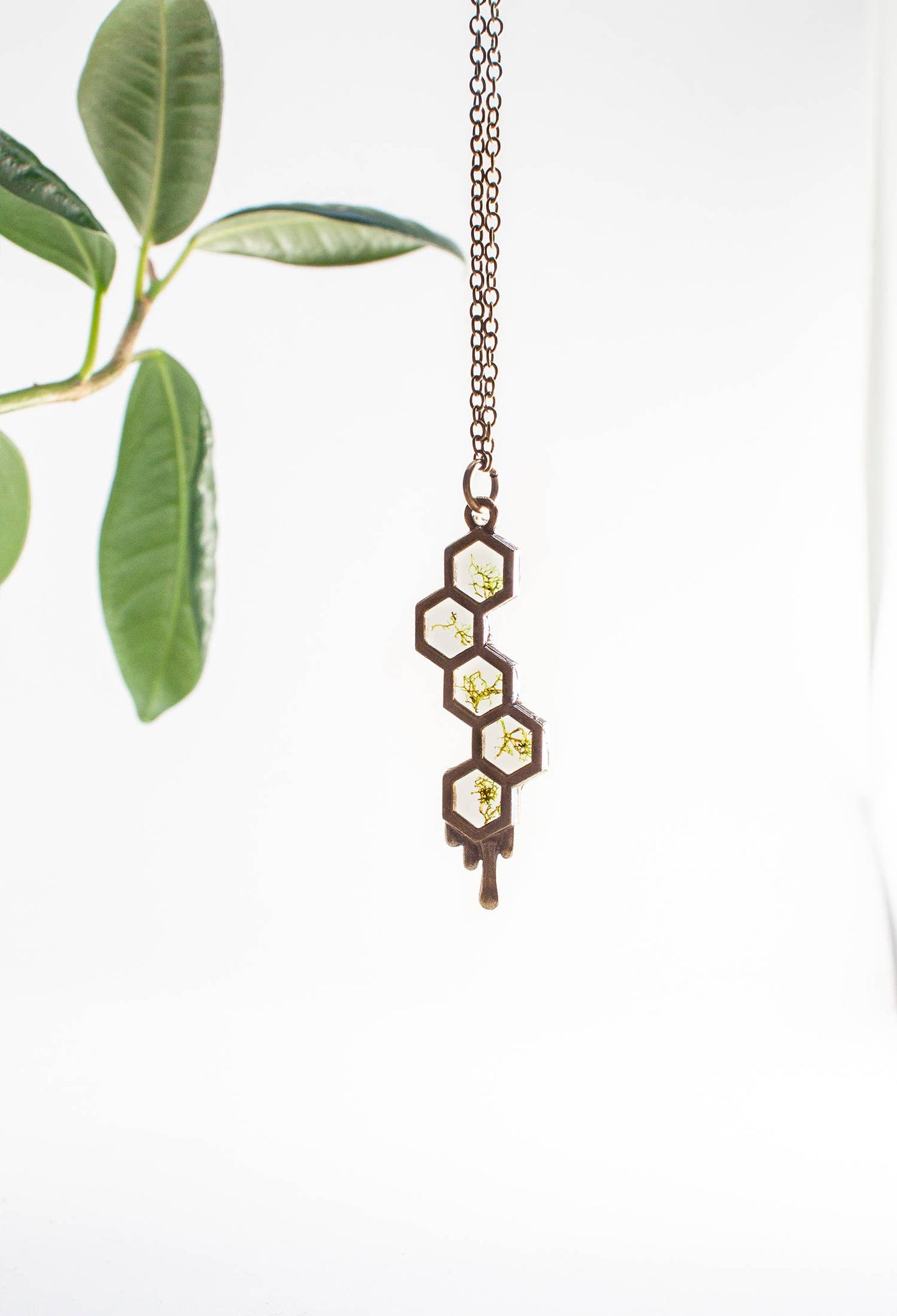 The Honeycomb