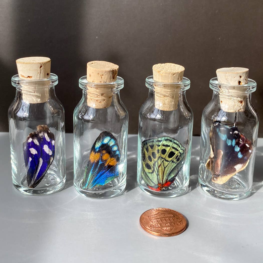 Small Bottle Special Wing