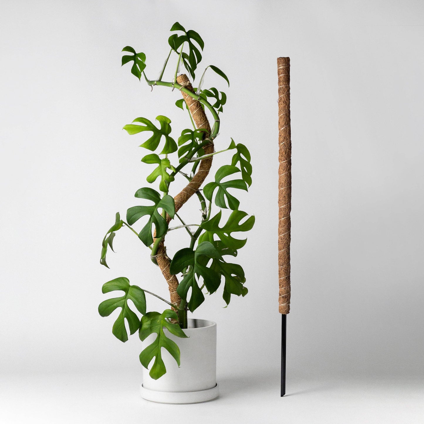 24"/32"/40 Bend & Stackable Coco Coir Pole for Plant Support