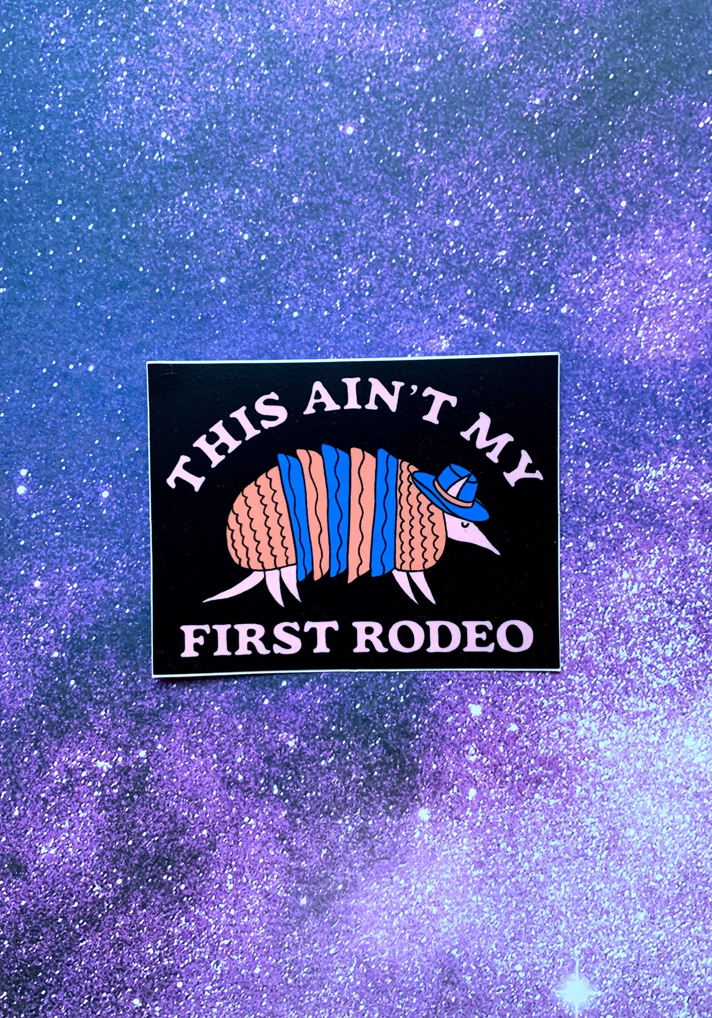 Armadillo Rodeo Sticker