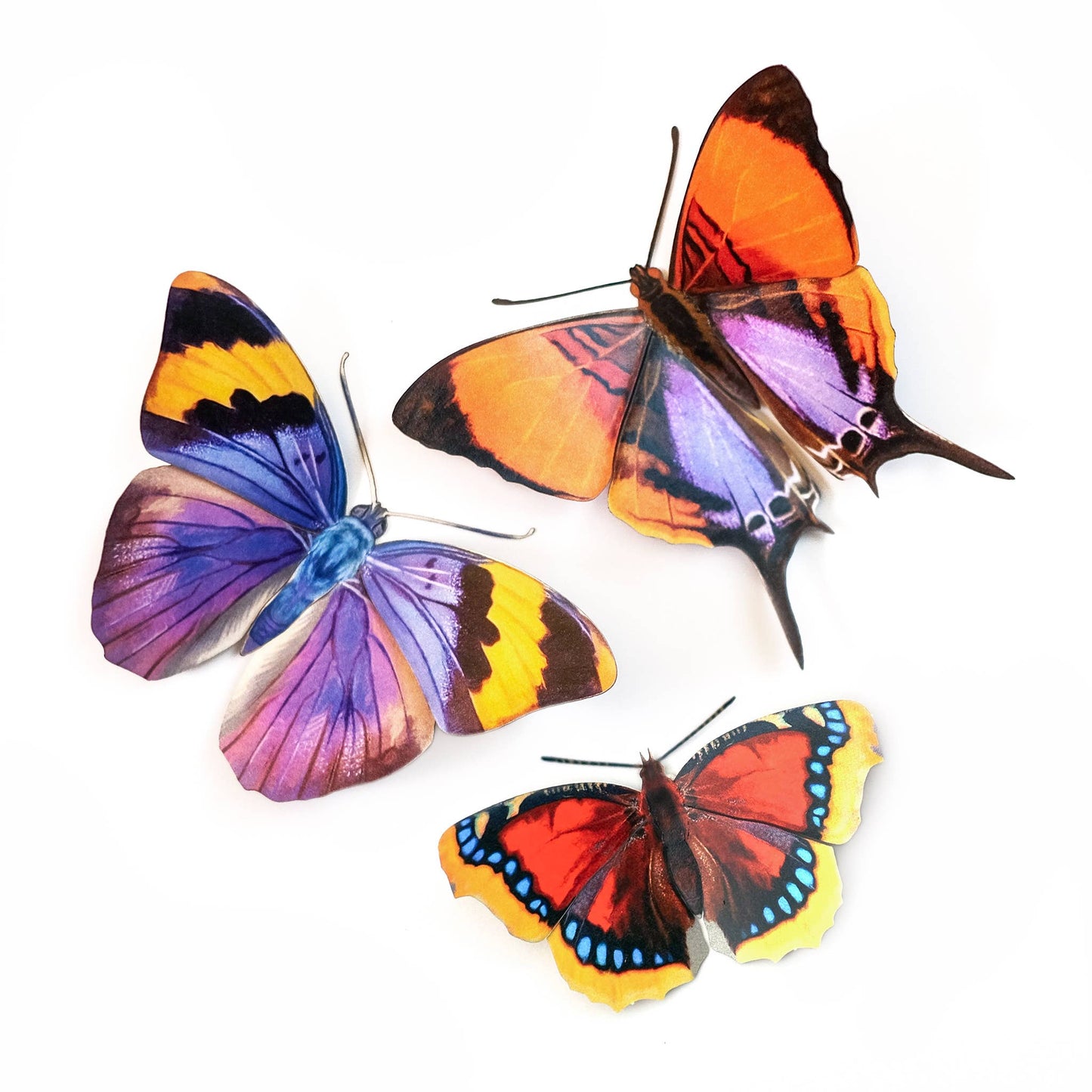'Sunrise' Butterfly Set