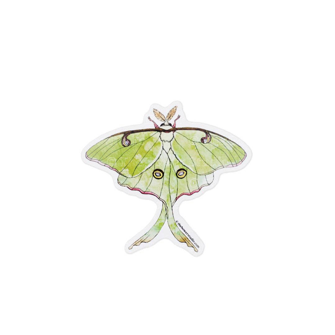 Eco-Sticker: Luna Moth