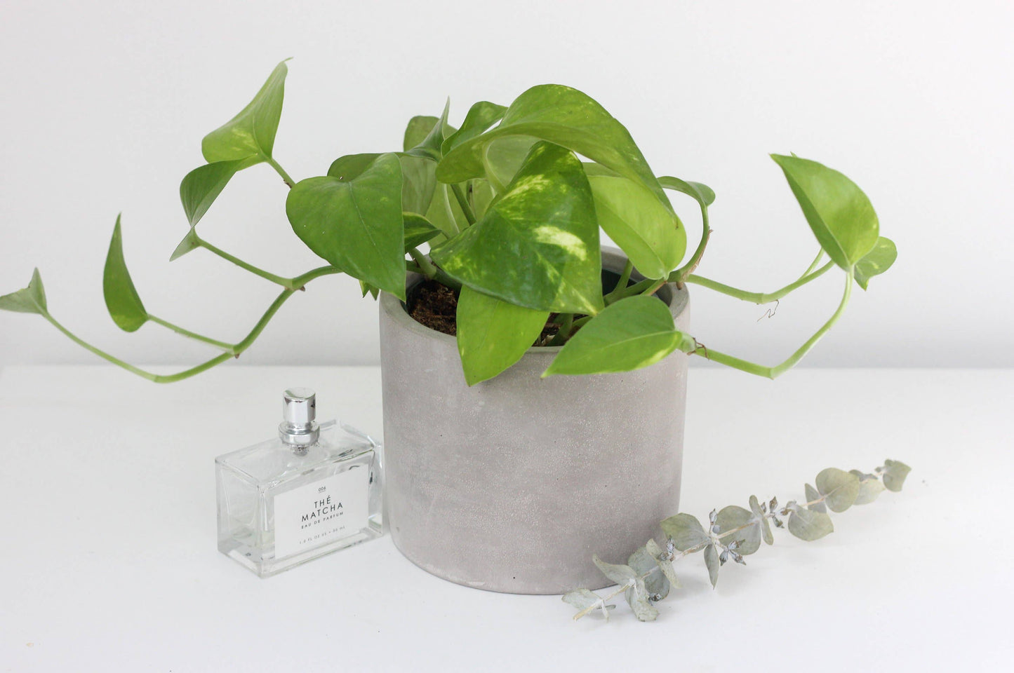 Concrete Cement Cylinder Planter Pot
