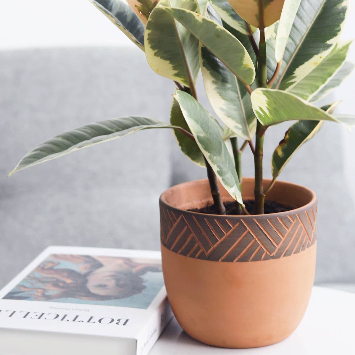 5.5" Clay Black Modern Planter, Terracotta Houseplant Pot