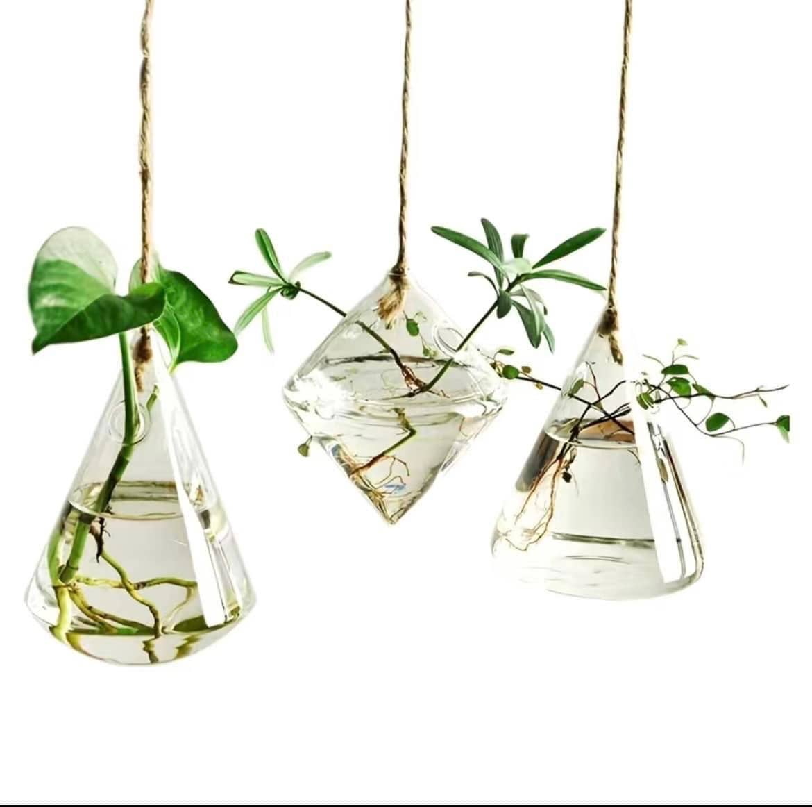 Hydroponic Planter, Hanging Flower Pot, Mini Plant - prop