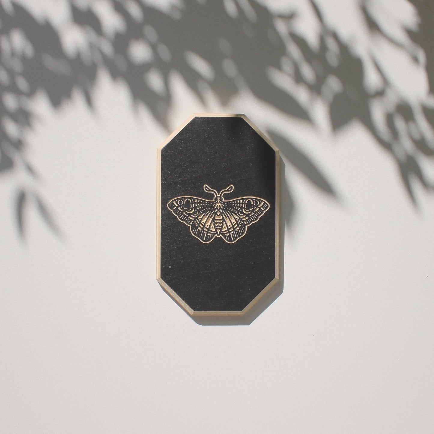 Carved Tiger Moth Wall Hanging