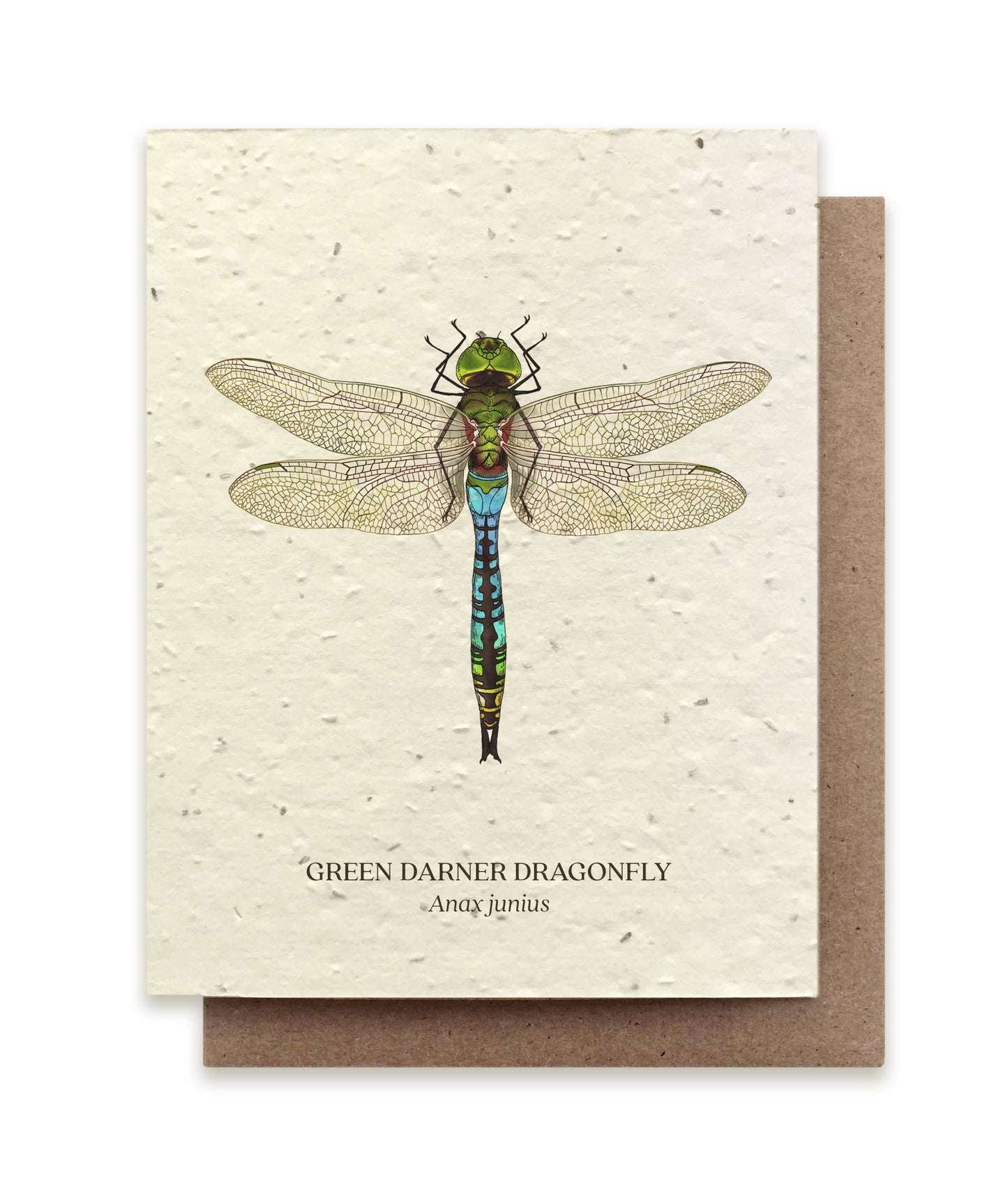 Green Darner Dragonfly Plantable Wildflower Seed Card