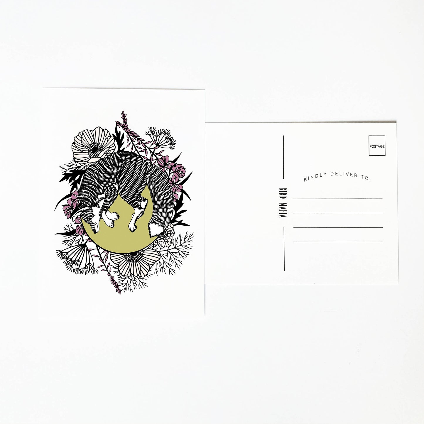 Fox Postcard