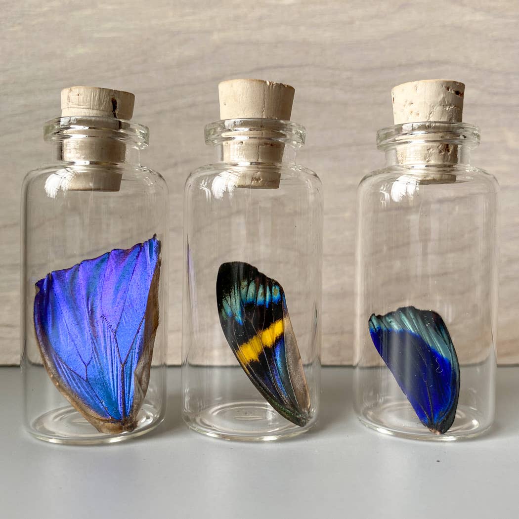 Medium Bottle Special Wing