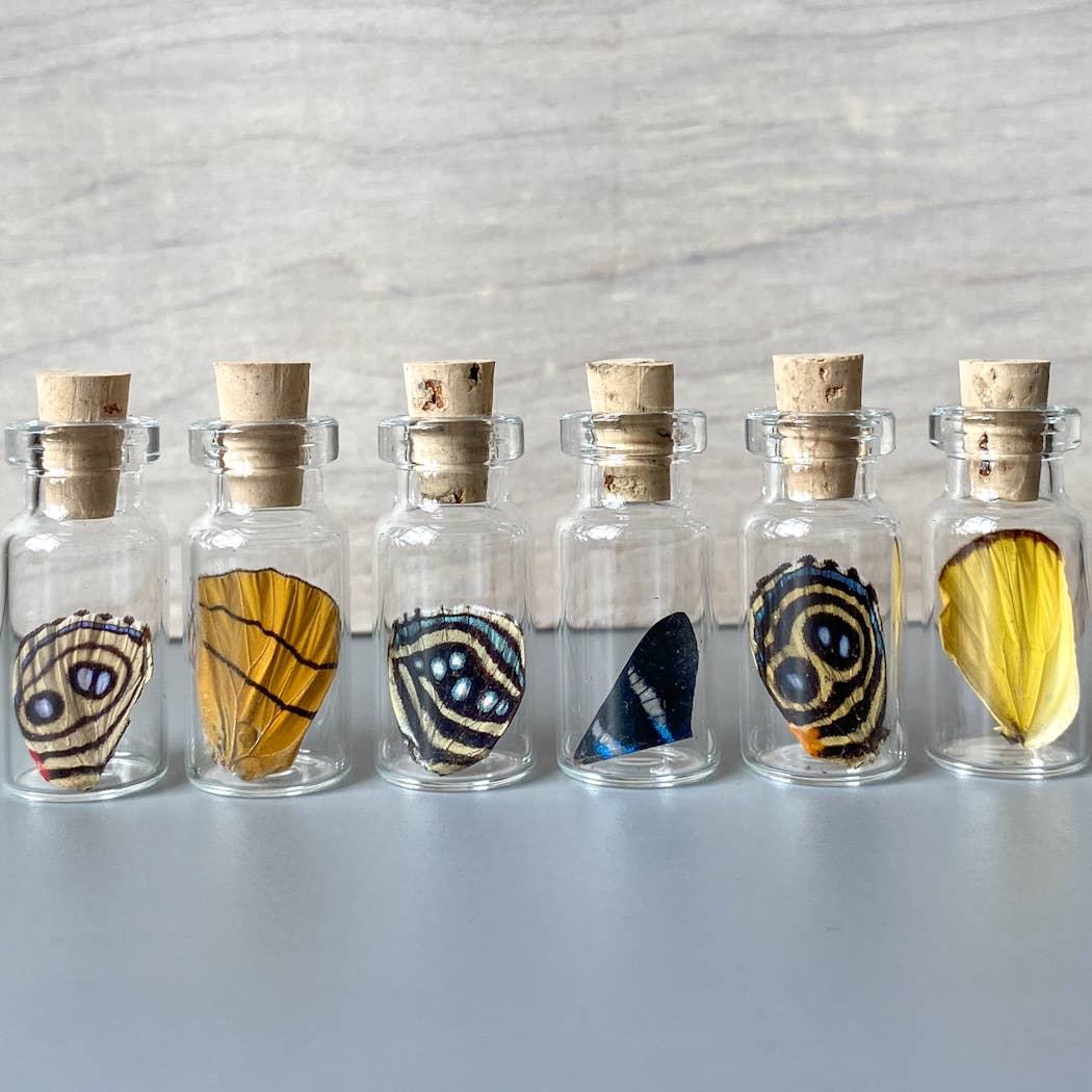 XXS Bottle Wing