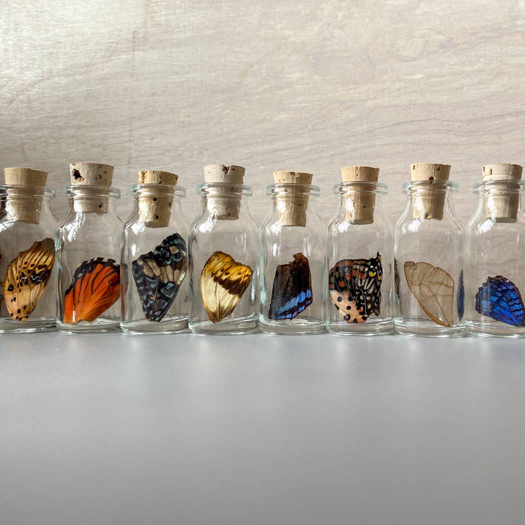 Small Bottle Wing