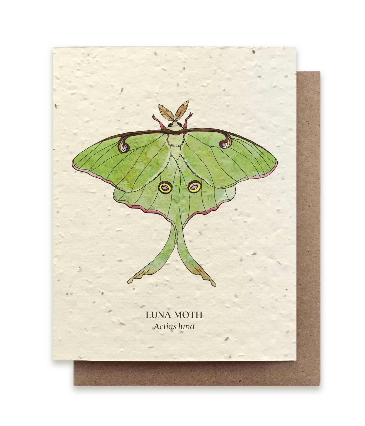 Luna Moth Plantable Wildflower Seed Card