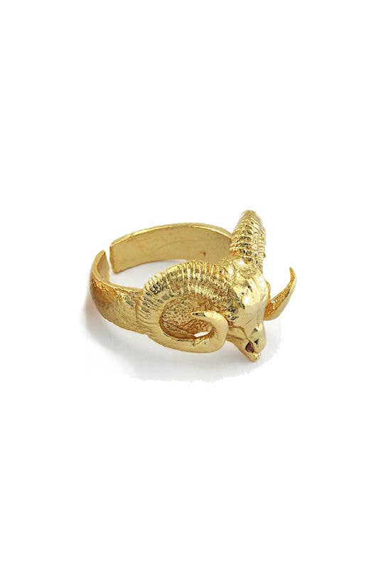 LONGHORN RING