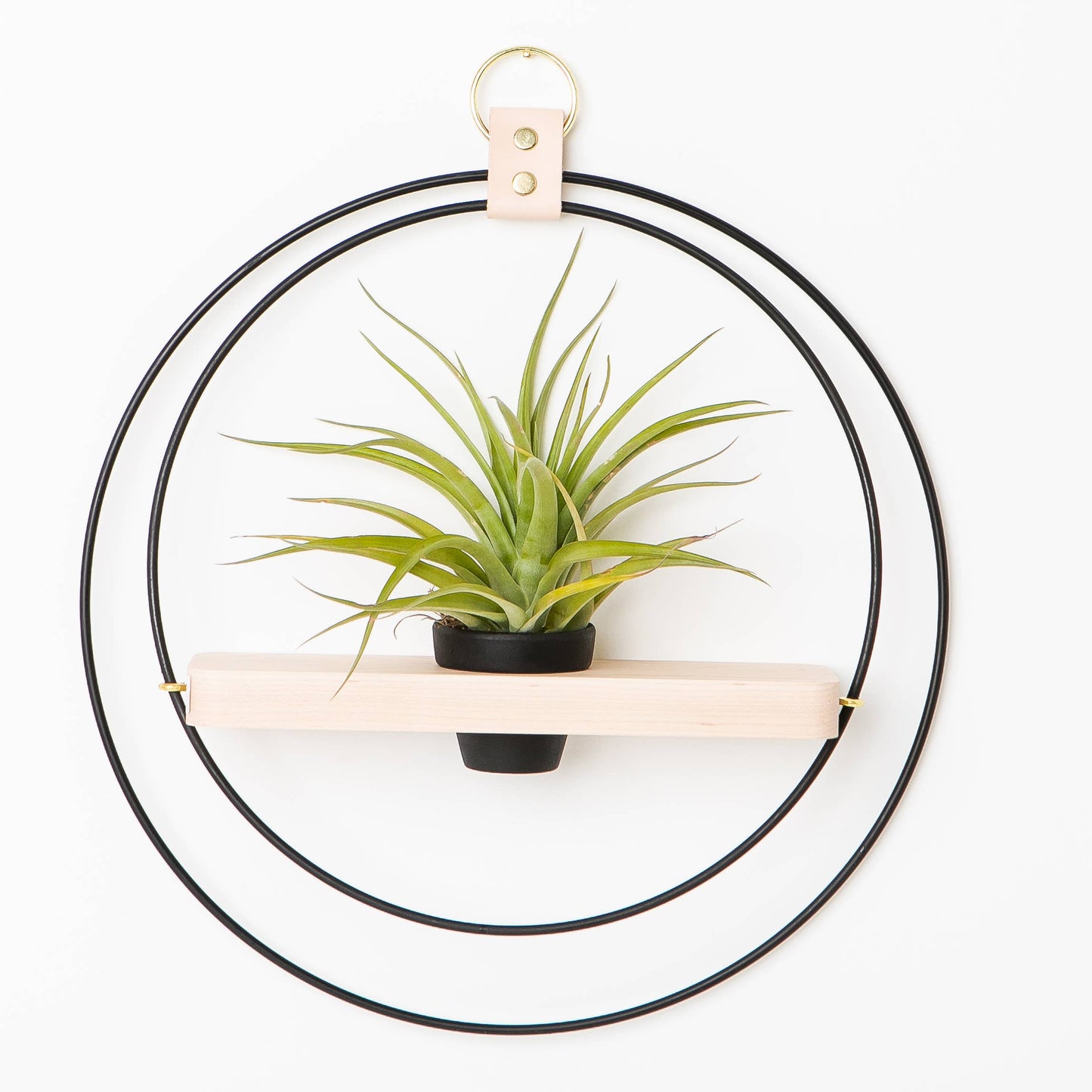 Plant Shelf (Mixed Metal) - Black Plant Shelf + Mini Pot