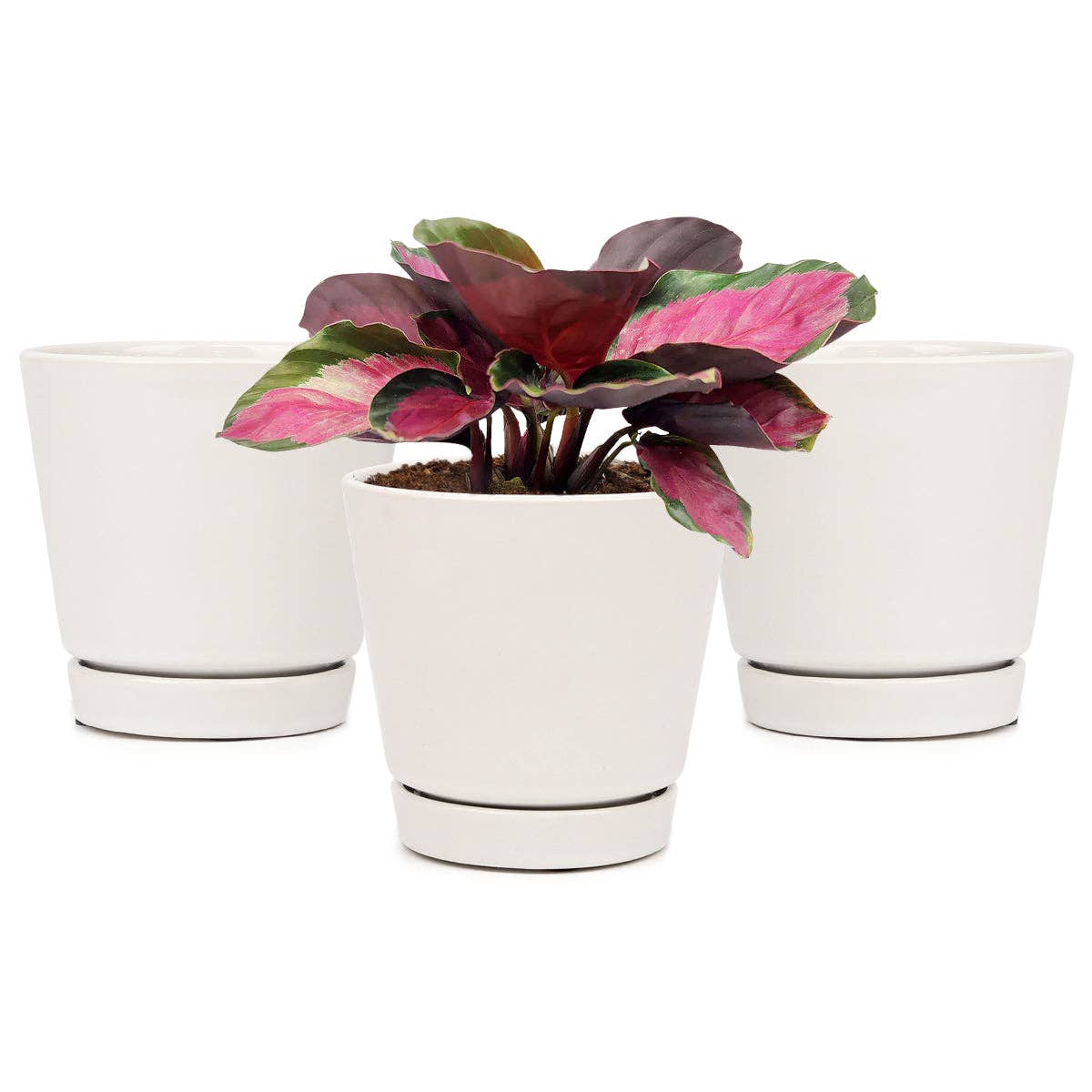 4 inch White Minimalist Pot with Saucer - Pot for Houseplant