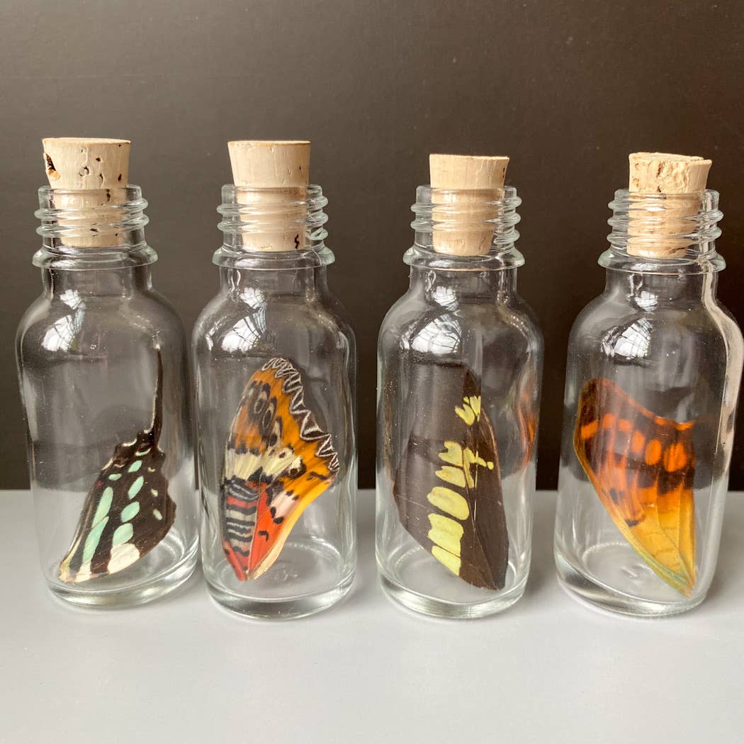 Large Bottle Wing