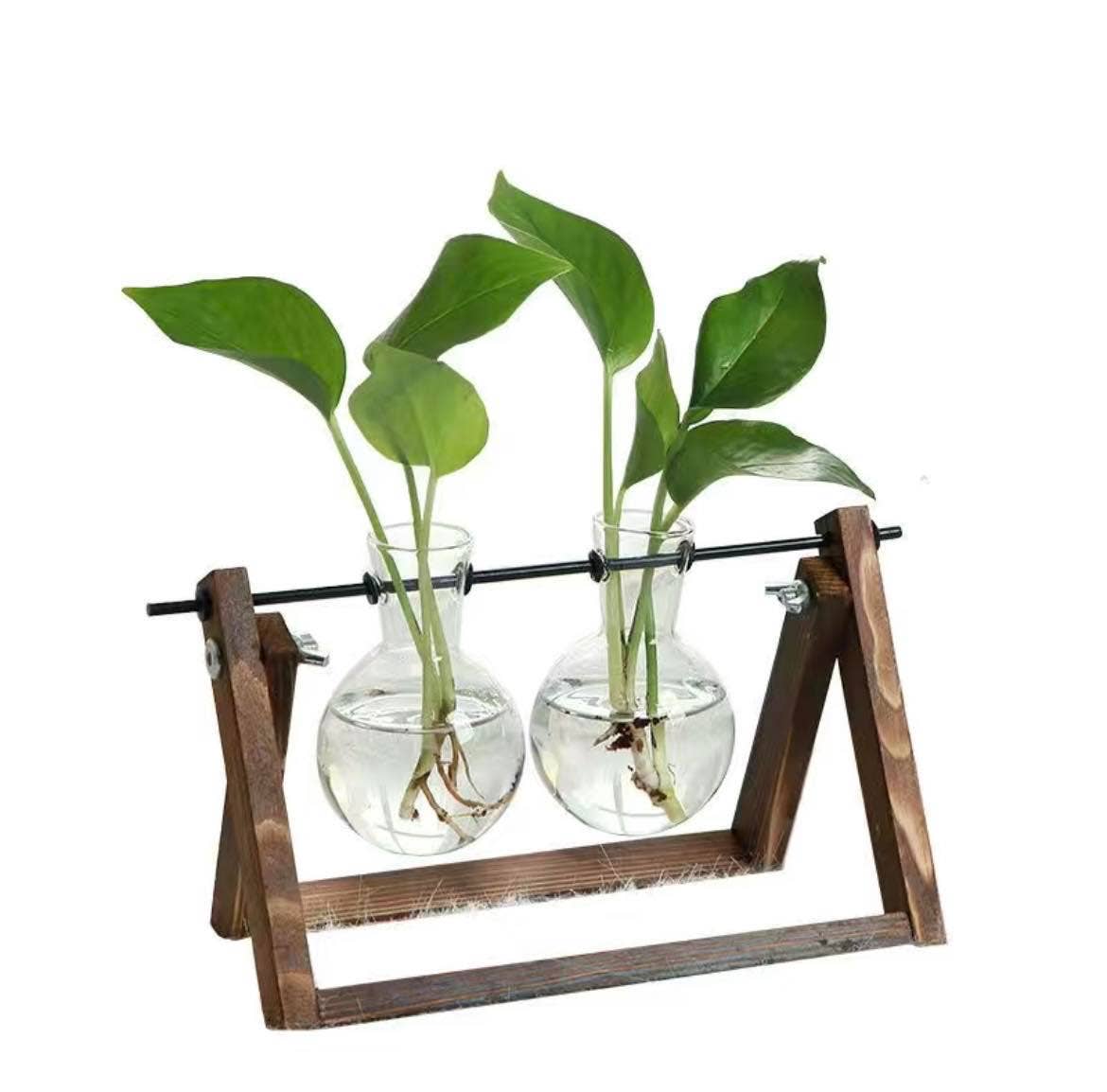 Hydroponic Planter, Flower Pot, Mini Plant: Two Bottle prop