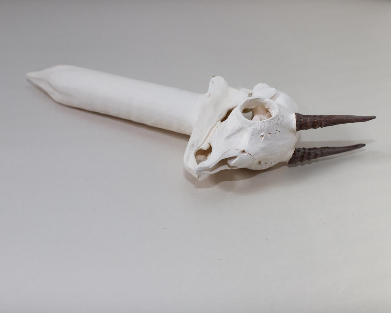 Dik-Dik Skull Watering Spike