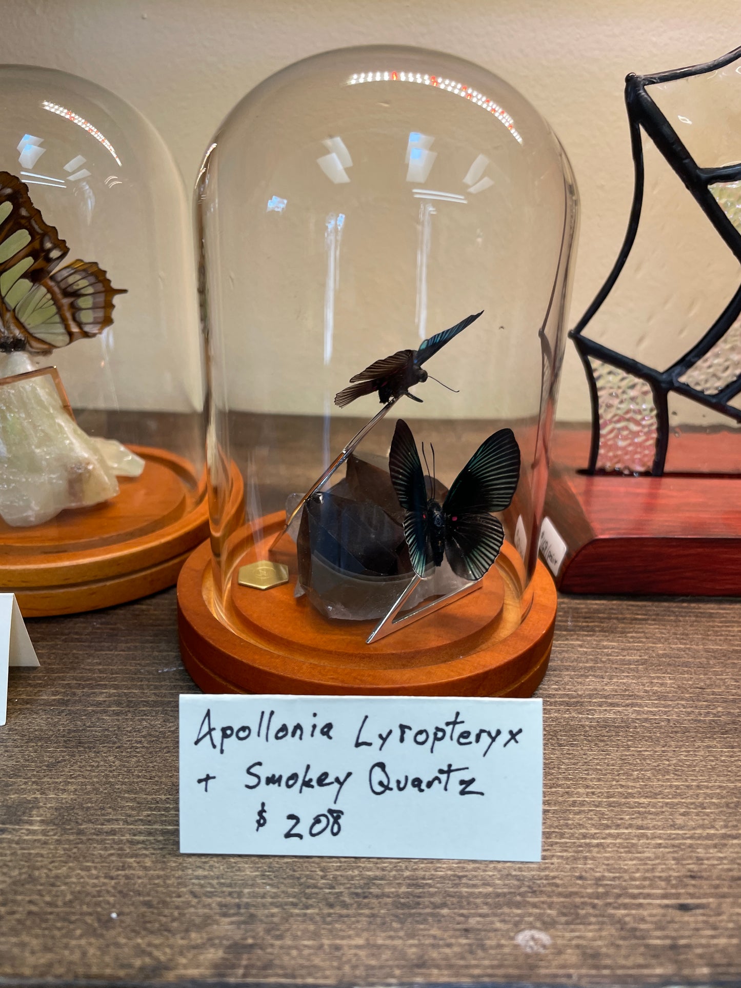 Apollonian Lyropteryx + Smokey quartz - Decayed Brocade