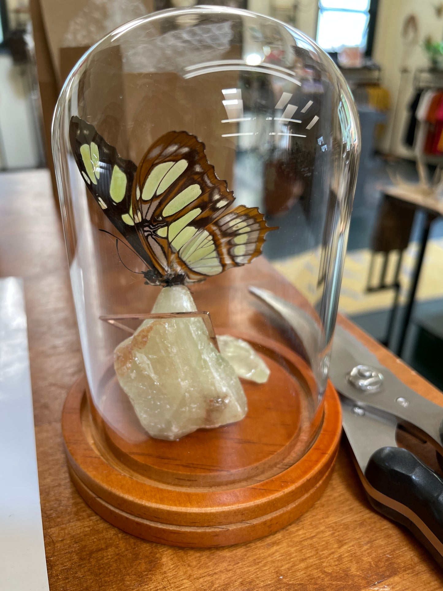 Malachite Butterfly + Calcite - Decayed Brocade