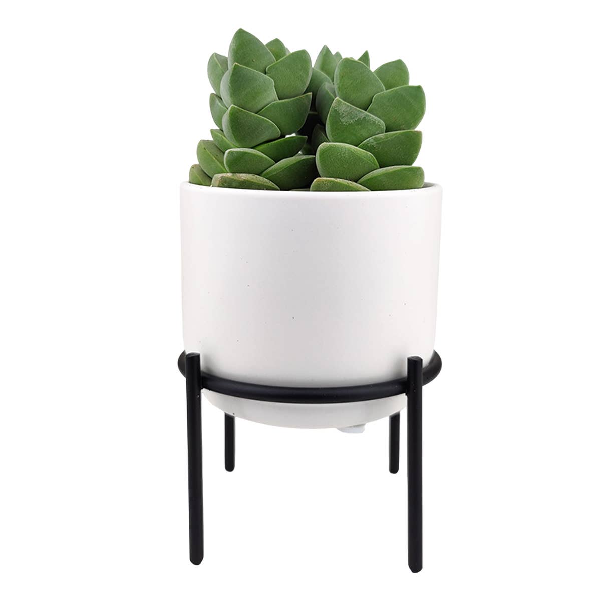 4" Solid White Ceramic Planter with Black Metal Stand