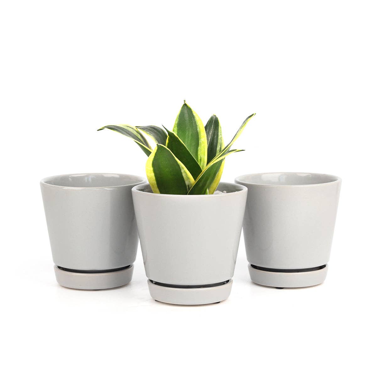 Gray Ceramic Pot with Saucer, 4" Minimalist Plant Flower Pot
